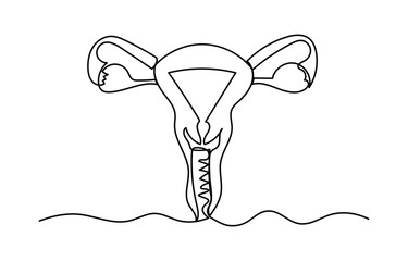 Continuous single one line drawing Uterus and ovaries, organs of female reproductive system and women's day conpect vector art illustration, Woman reproductive system, one line continuous. Line art