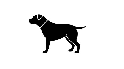 Silhouette of a dog standing sideways, showing the outline of the animal against a white background.