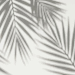 A brown hardcover book titled "Introduction to Philosophy" sits upright, showcasing its spine and cover.