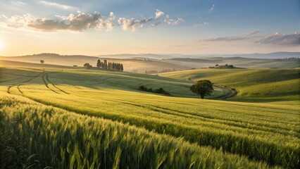  Idyllic Tuscan Landscape with Rolling Green Hills at Sunrise