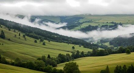 Obraz premium Foggy Valley with Rolling Hills and Scattered Trees