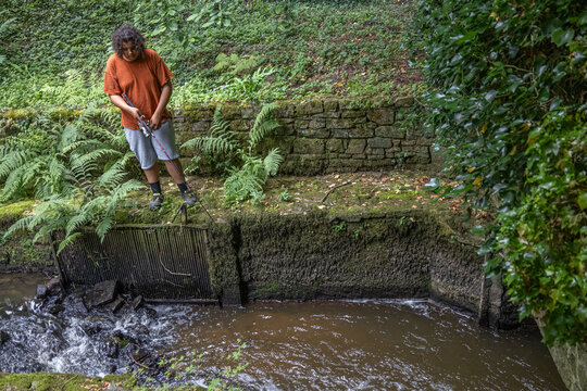 Person enjoys nature by a small stream in a park
