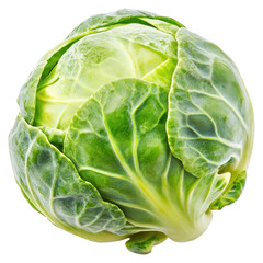 Fototapeta premium PNG Brussels sprout vegetable cabbage food.