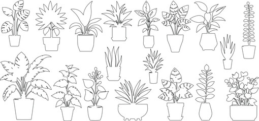 Fototapeta premium Houseplants. Vector set of outline drawings plants, Indoor flowers with stems and leaves. plant for home and interior, vector