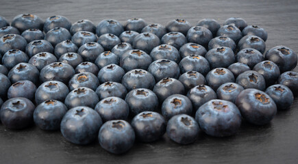 Blueberry texture background. Fresh blue berry fruits pattern, bilberry wallpaper with copy space