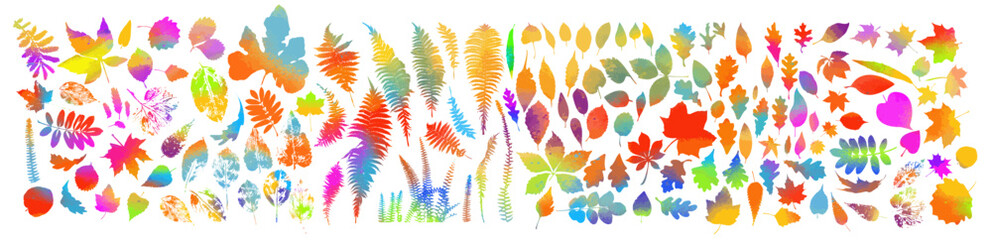 Set of colored leaves of different trees . hand drawn. Not AI, Vector illustration.
