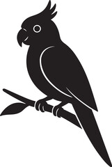 Sun Conure Bird  পাখি