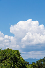 Obraz premium 真夏の青い空と白い雲