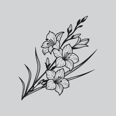 Gladiolus Detailed Lily Flower Outline