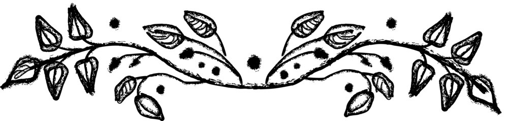 vector floral handdraw illustration of a black and white 