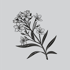 Gladiolus Lily Flower Ink Drawing