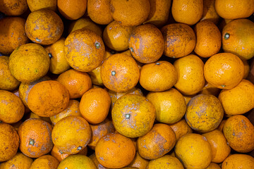 Fresh mandarin tangerines with leaves in a wooden box.