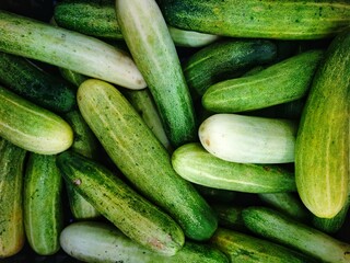Green and Yellow Cucumbers Displayed in a Vibrant Pile Arrangement