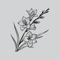 Gladiolus Vintage Lily Botanical Art