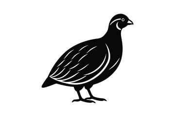 Obraz premium Elegant Quail Bird Illustration in Black and White Silhouette Style Isolated on White Background Vector Graphic silhouette