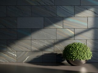 Modern Dark Gray Stone Tile Wall with a Green Plant
