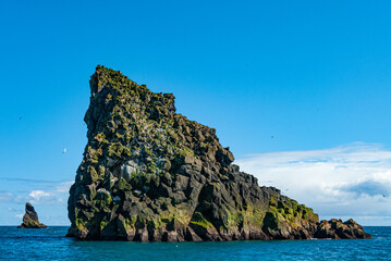 Dyrholaey is a 120 m high and precipitous headland. A large, natural gate has been eroded through its southernmost part. It is in south Iceland