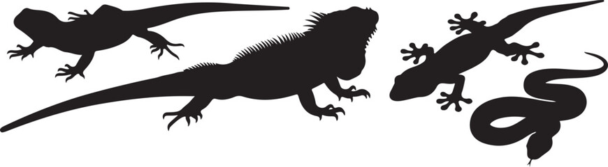 Fototapeta premium Silhouettes of three reptiles including an iguana and a snake on white background