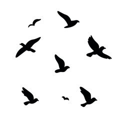 Silhouettes of flying birds vector illustration, black bird shapes in various positions, isolated on white background.