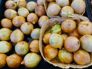 Garlic and onion. Wreaths. Rich harvest. Agriculture and farming.