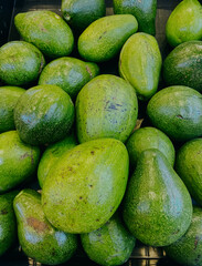 Fresh ripe avocado texture and background close up, Avocado on fruit market store.