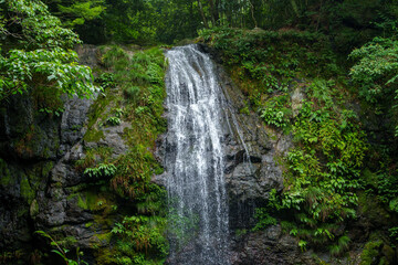 Obraz premium A powerful waterfall cascades down a mossy, rocky cliff face, surrounded by lush green foliage. Mist rises from the water, creating a serene and dramatic scene.