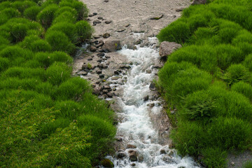 A small, rocky stream flows through a landscape of mossy green vegetation. The water cascades over rocks, creating a natural channel. The scene is serene and showcases the beauty of nature.