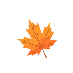 Fototapeta premium Orange Maple Leave