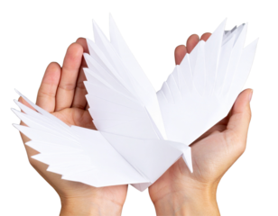 Top-Down View of White Origami Bird with Visible Creases, Isolated