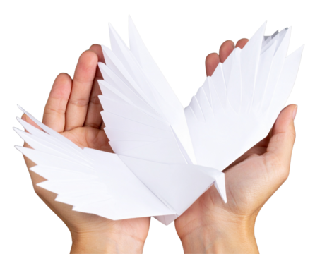 Top-Down View of White Origami Bird with Visible Creases, Isolated