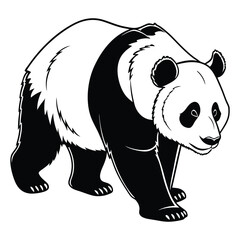 Black and White Panda Bear Vector – Walking Panda Illustrations