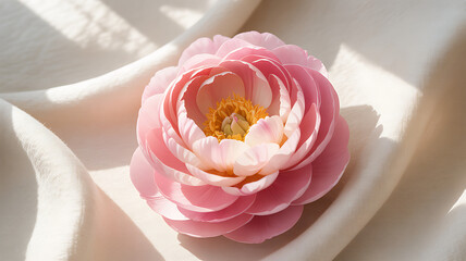The image features a delicate pink flower with petals that transition from light to dark