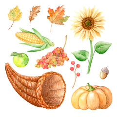 Watercolor set for Thanksgiving: cornucopia, falling leaves, pumpkin, apple, grapes, sunflower and more. Hand drawn illustration, isolated on white background. Ideal for menu, cooking, packaging, card