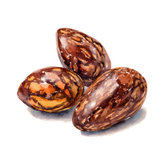My Watercolor illustration chocolate-covered almonds painting isolated on a white background, illustration, AI painting design, vector set, eps format, My illustration design, collection