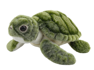 PNG of Cute plush green turtle toy with big eyes, perfect for children and collectors. - on Transparent or White BG