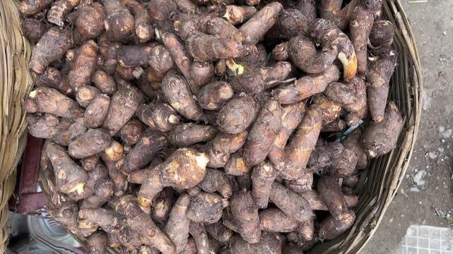 Fresh Taro Roots for Cooking | Arbi Vegetable Close-Up