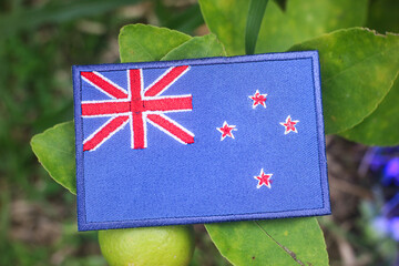 Eco-friendly embroidered New Zealand flag on lemon tree with fresh limes and green leaves, bathed in natural sunlight. Perfect for Earth Day and sustainability visuals.