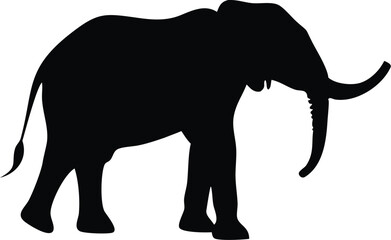 Obraz premium Elephant silhouette