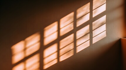 Warm sunlight casts intricate shadows on a wall.