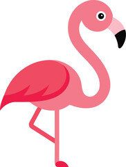 Pink Flamingo Vector Illustration Standing on One Leg with White Background