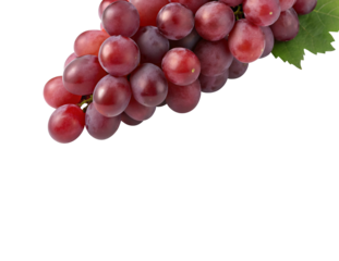 Delicious red grape bunch with leaf isolated on white for fresh organic fruit health benefits