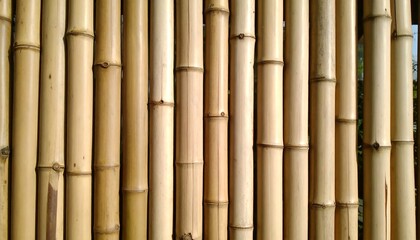 Naklejka premium Bamboo Fiber Texture in Detail