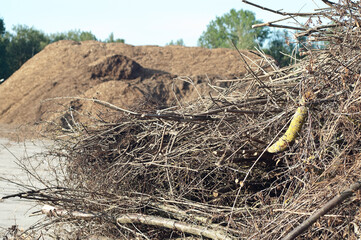 a mountain of dry branches against the background of mountains of wood chips and blue sky