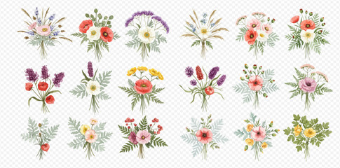 A beautiful collection of eighteen hand-drawn watercolor bouquets featuring various wildflowers like poppies and lavender.