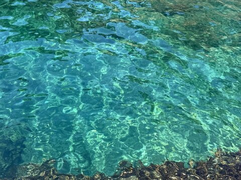Ocean crystal clear water with underwater seagrass.