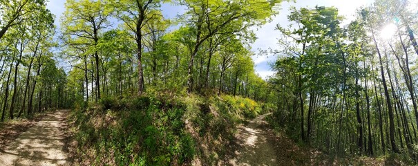 Obraz premium Sentiero di collina