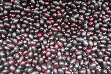 Jamun fruit, Java plum ,black plum, Malabar plum, Njaval pazham,  jamun, jaman, jambul or jambolan, It is a dark purple fruit, rich in vitamins, minerals, and antioxidants