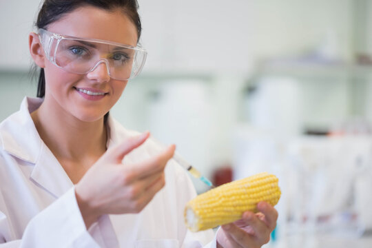 Female scientist wearing goggles injecting liquid with syringe into corn at lab bench, copy space - Powered by Adobe