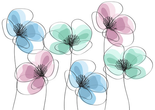 Fiori colorati