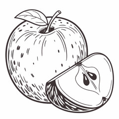 vector illustration of knobby russet apple